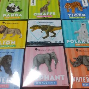 MINIATURE PLANET ミニチュアプラネット インフィニティ