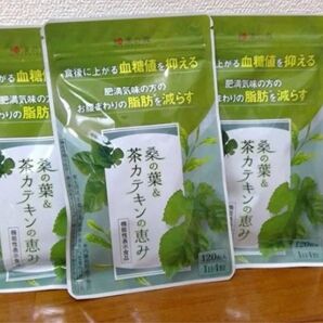 和漢の森 桑の葉&茶カテキンの恵み 120粒×3個セット