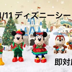 11/11 ディズニーシー オンラインショッピング