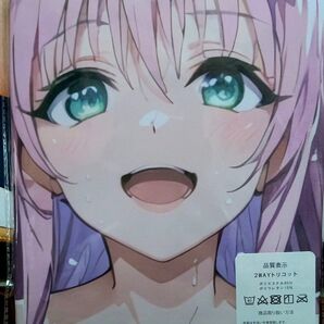 To LOVEる -とらぶる- ララ 抱き枕カバー シークレット