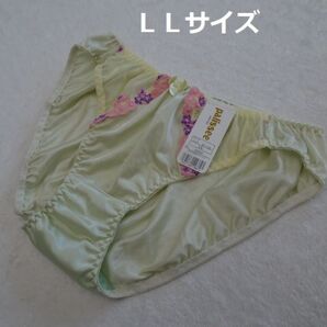 C018-3★レディース ショーツ(ミント系)LL【複数購入割引有】