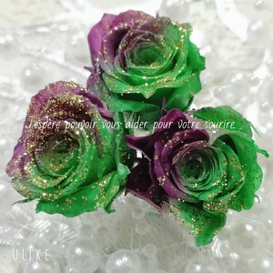加工花材*ローズ プリザーブドフラワー 花材
