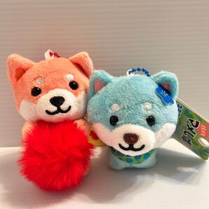 旅するマメしば まめこ ネモフィラバージョン コキアバージョン セット