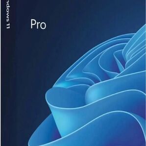 Windows11 Pro プロダクトキー&USB