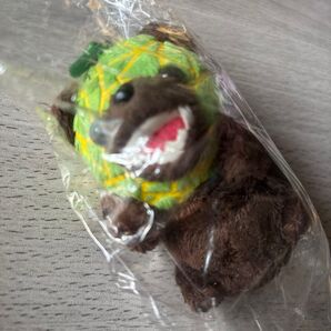 北海道 メロン熊