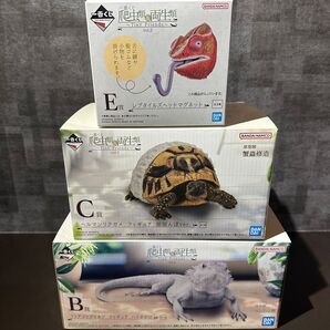 一番くじ 爬虫類&両生類~Tiny Friends~vol.2 B賞 C賞 E賞