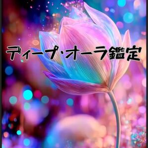 ディープ・オーラ鑑定