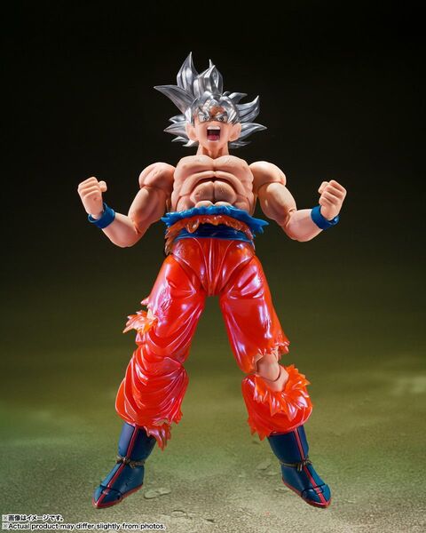 限定☆SHフィギュアーツ 孫悟空 身勝手の極意-限界超絶突破!- S.H.Figuarts 悟空 ドラゴンボール 超