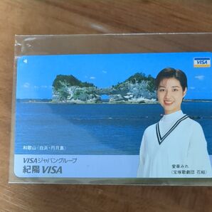 紀陽VISA 愛華みれ 宝塚歌劇団花組 和歌山 白浜 円月島