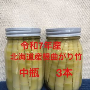 令和7年産!朝採り北海道産根曲がり竹 中瓶3本