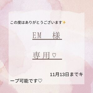 EM 様専用 11月13日までキープ可能 ※見落としあればお知らせ下さいm(__)m