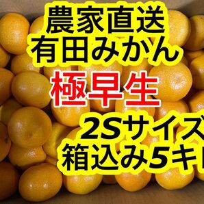 和歌山県産有田みかん2Sサイズ5キロ