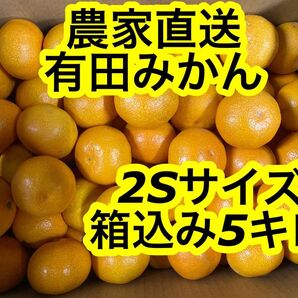 和歌山県産有田みかん2Sサイズ5キロ