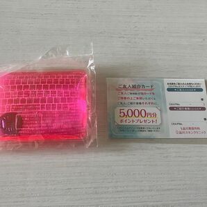 品川美容外科 初回限定 クーポン チケット 品川スキンクリニック 美容整形 品川 繰り返し使えるカイロおまけ付き