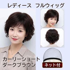 カール ウィッグ ショート パーマ 50代 60代 70代 通気性 軽量 アジャスター 高品質ファイバー 医療用 普段使い 自然