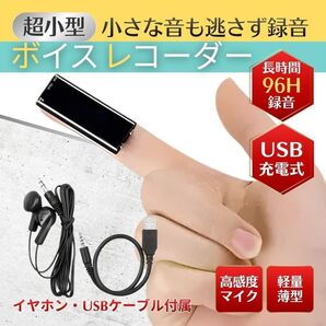 ボイスレコーダー 小型 ICレコーダー ボイレコ 録音機 イヤホン付き 会議 取材 インタビュー パワハラ セクハラ 対策 証拠