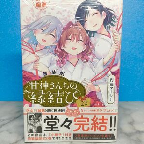 甘神さんちの縁結び 22 特装版