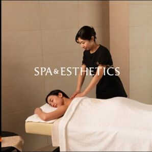 個室スパ&エステチケット 全国版PLUS(eギフト)sow experience ソウ・エクスペリエンス リラクゼーションチケット