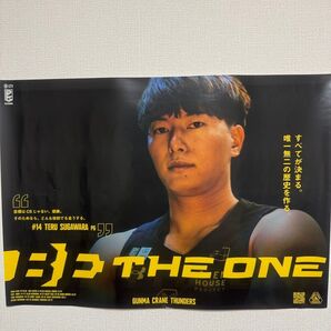 群馬クレインサンダーズ 菅原暉 ポスター