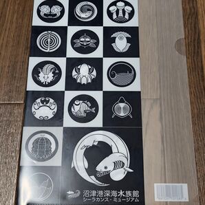 沼津港深海水族館シーラカンスミュージアム クリアファイル