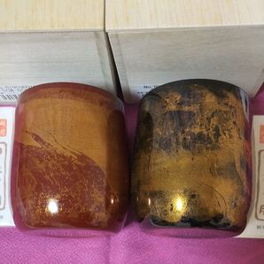 漆磨 シーマ ロックカップ ペア