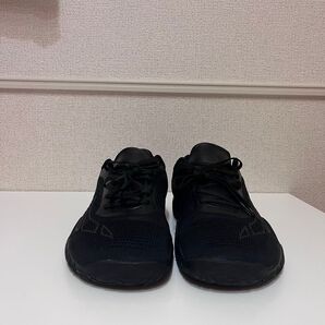 AVANCUS エイペックスパワー V3.0