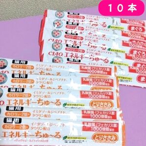 猫 チャオ 病院用 エネルギーちゅーる 10本 チュール