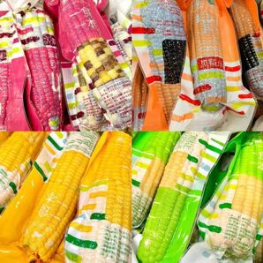 賞味期限更新★新入荷♪常温便【糯とうもろこし20本入りセット】(黒糯5本と白糯5本と黄糯5本と彩糯5本)