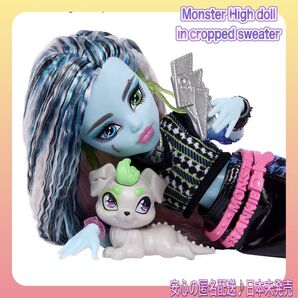 モンスターハイドール モンスターハイ フランキーステイン ペット&アクセ