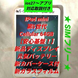 【給料前特価! 正常動作品】IPad mini 第5世代 SIMフリー 64GB 新品パーツ満載 A2124 ゴールド