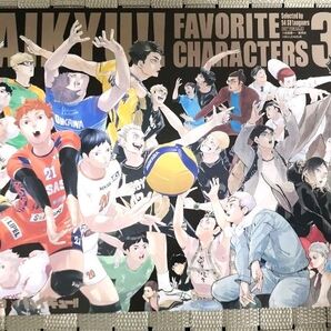 Sportiva 特集号 Vol.3 ハイキュー ビジュアルボード アニメイト特典