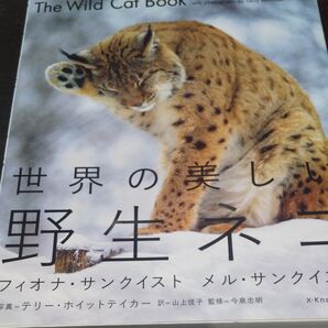 《世界の美しい野生ネコ 》