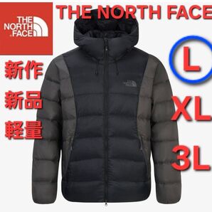 THE NORTH FACEノースフェイス 新作新品ダウンジャケット軽量 L