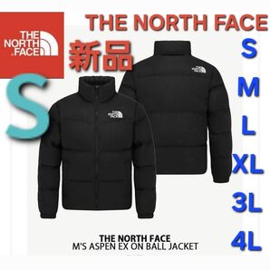 THE NORTH FACEノースフェイス中綿ダウンジャケット新品アウター S