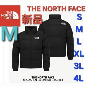 THE NORTH FACEノースフェイス中綿ダウンジャケット新品アウター М