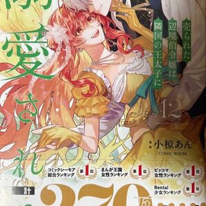 売られた辺境伯令嬢は隣国の王太子に溺愛される 12