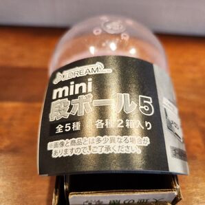 DREAM CO.LTD mini 段ボール5 全5種 2箱入り