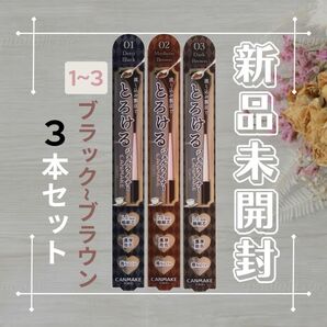 ★3本セット【新品】CANMAKE キャンメイク クリーミータッチライナー 01 02 03 アイライナー ブラック ブラウン