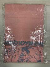 新品・未開封 TUBE LIVE ALOUND SPECIAL 2006 BBQ 春畑Tシャツ Lサイズ 送料込み_画像2