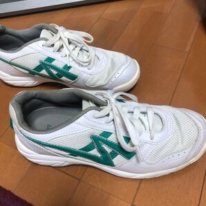 体育館シューズ 24.5センチ