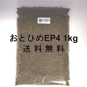送料無料! おとひめEP4 1kg 日清丸紅飼料