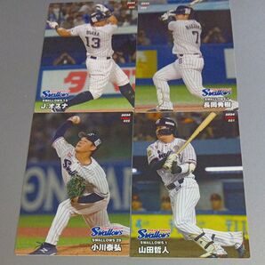 2024 カルビープロ野球チップスカード 4枚セット ヤクルトスワローズ