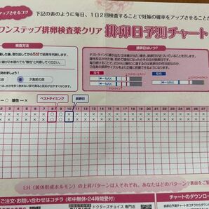 排卵日予測チャート