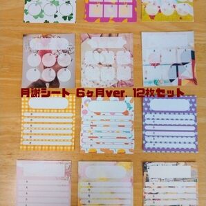 【ハンドメイド】 月謝シート 6ヶ月ver. 12枚セット (色々な柄セット)