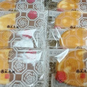 ◆半額以下◆ 五月ヶ瀬 愛 10枚◆ チョコサンドクッキー