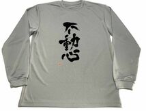 グレー　不動心 ドライＴシャツ 格闘技 練習 試合 グッズ 　ロングＴシャツ　ロンＴ　ロング　長袖_画像1