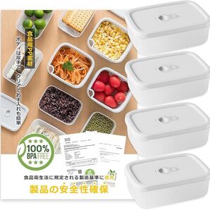 冷凍ごはん容器(600ml 4個入り)ご飯冷凍容器 電子レンジ 食洗機対応