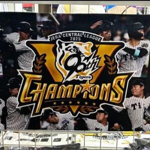 阪神タイガース ファンクションフェイスタオル 2025優勝記念