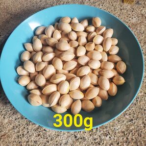 和歌山産 ぎんなん300g 銀杏 天然 自然