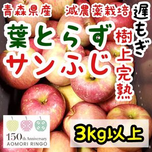 葉とらずサンふじ★減農薬・樹上完熟★青森県産農家直送